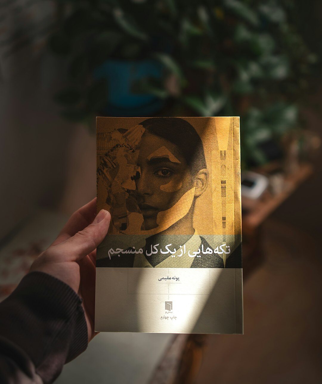 detective novel book cover