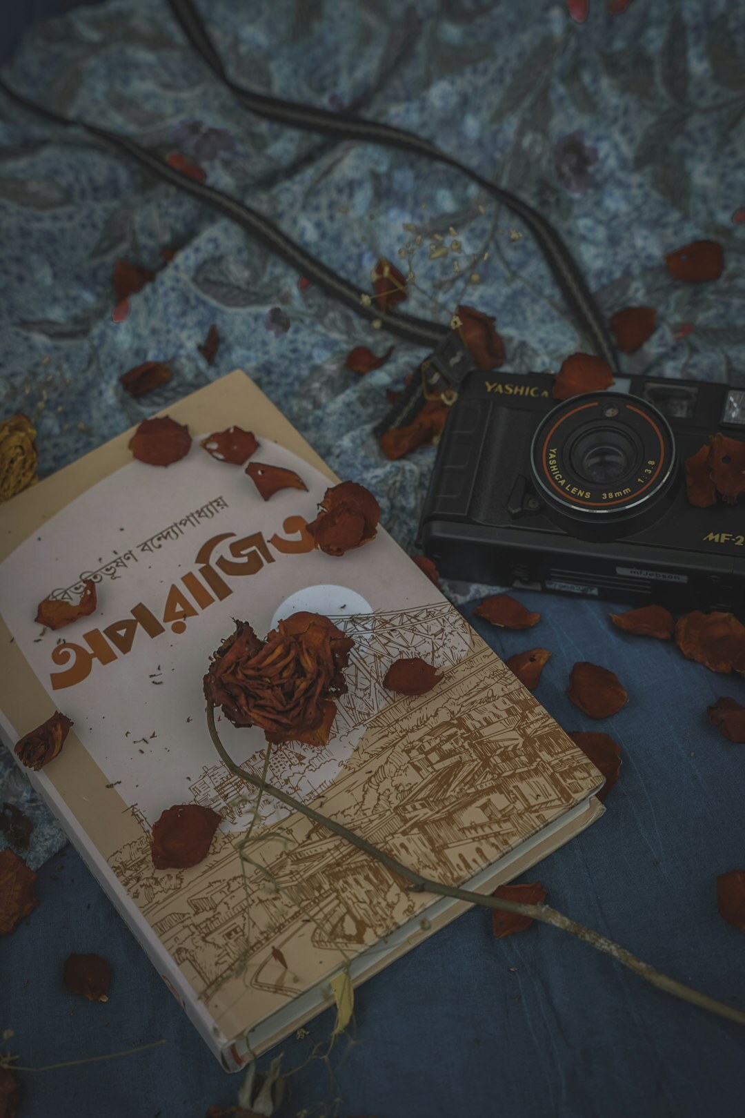 detective novel book cover